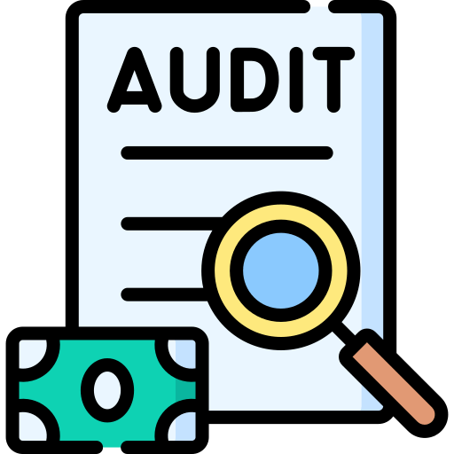 Custom Audit Scripts